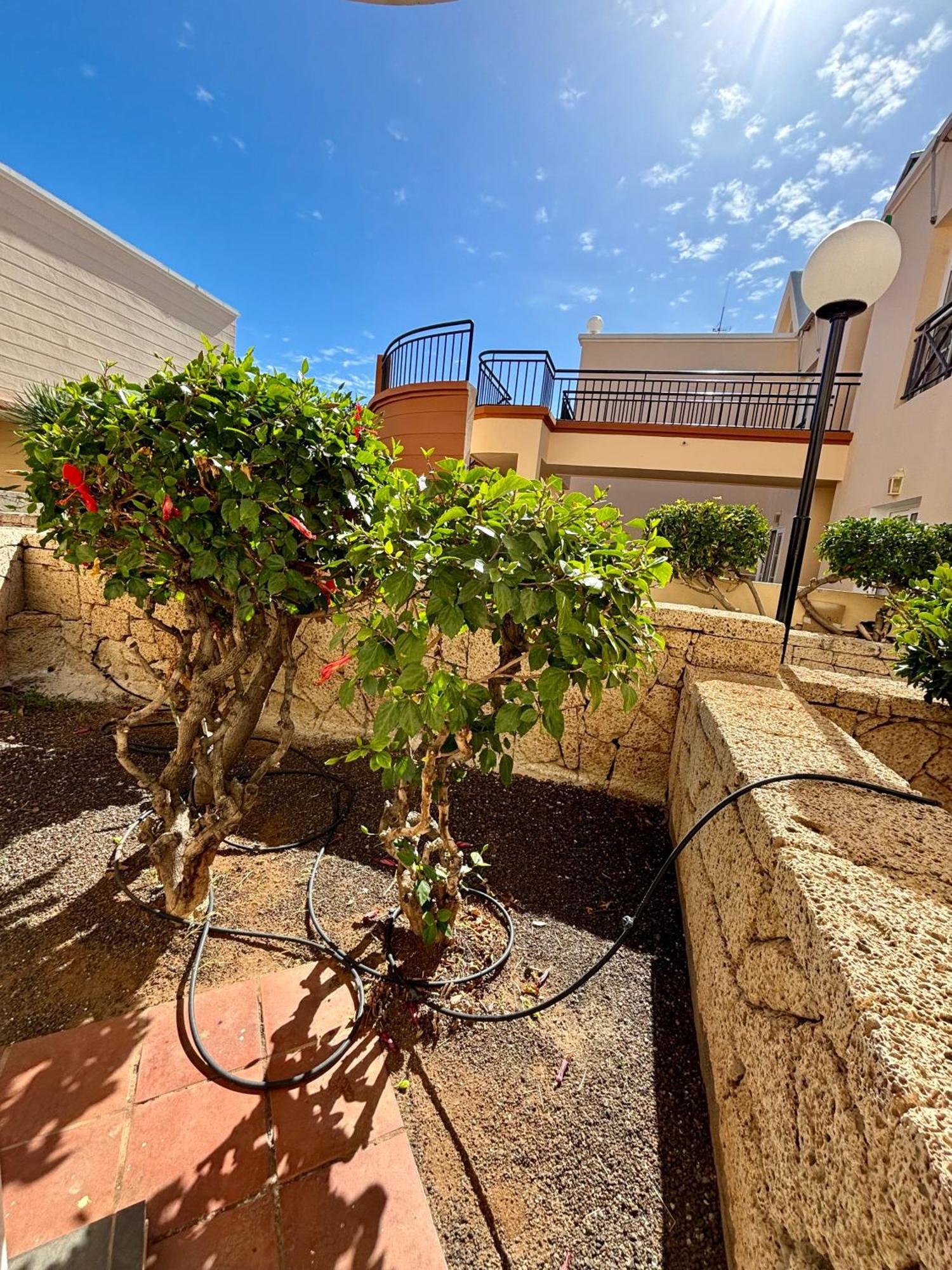 Apartment Clara Fanabe Costa Adeje  Exterior photo